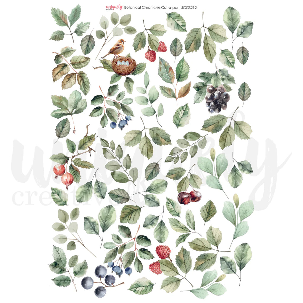 Uniquely Creative 'Botanical Chronicles' cut-a-part sheet