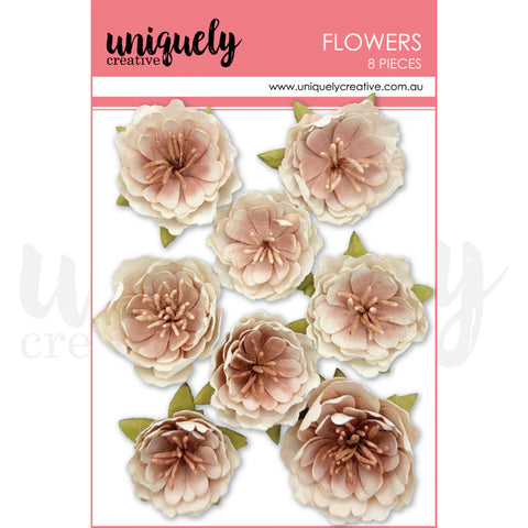 Uniquely Creative 'Bohemian Escape' Whisper bloom flowers