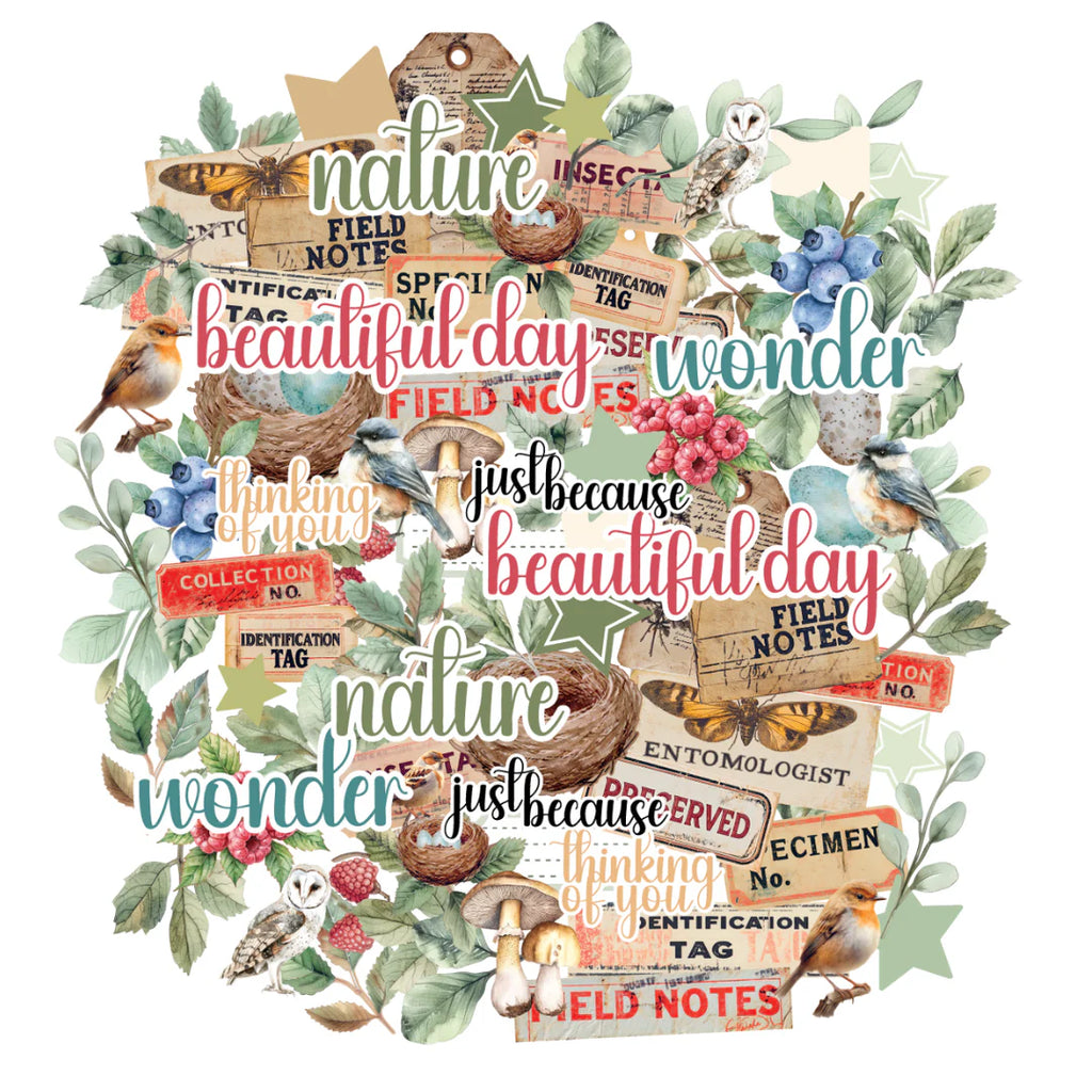 Uniquely Creative 'Botanical Chronicles' creative cuts