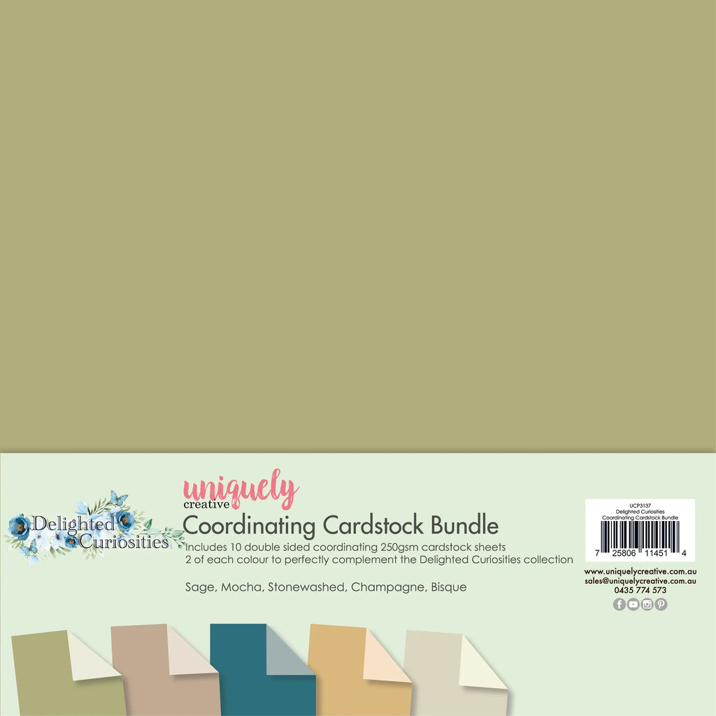Uniquely Creative 'Delighted Curiosities' 12x12 coordinating cardstock bundle
