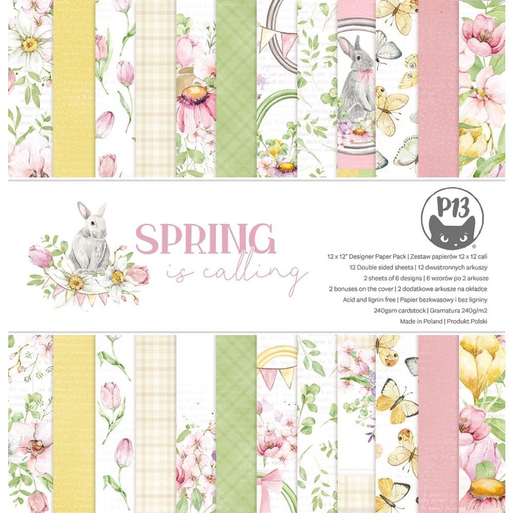 P13 Spring is calling ds paper pad